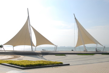 晒小奶猫朋友圈文案搞笑集合四十条