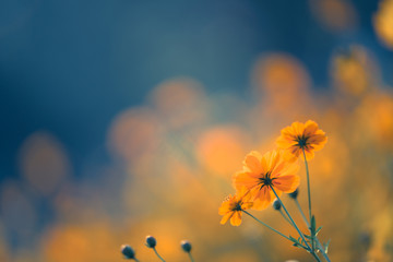 趣味数学小故事30 字