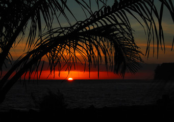 三字经到底背哪个版本