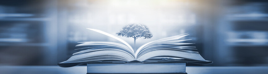 保时捷所有车型名字