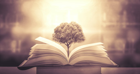 香港的历史简介