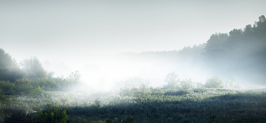 排气管排出来水有点多是什么原因