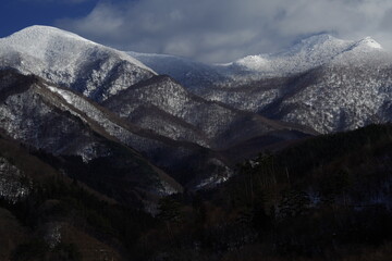 二年级语文上册《植物妈妈有办法》教案设计
