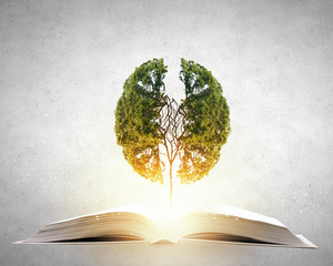 冬季驾车有哪些注意事项