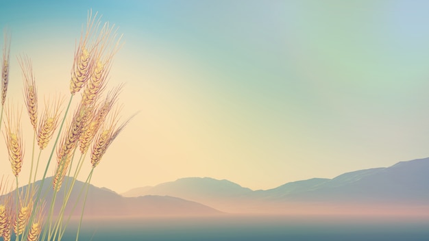 三字经到底背哪个版本