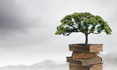 二年级语文上册《植物妈妈有办法》教案设计