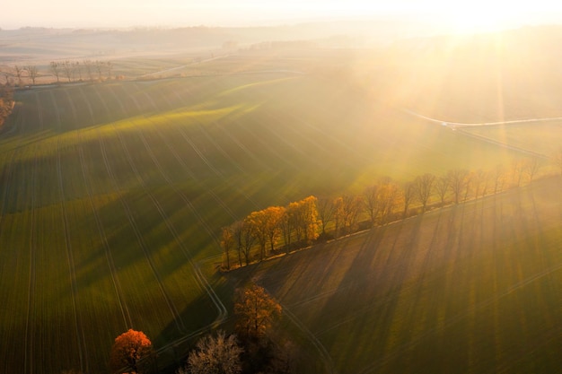 二年级语文上册《植物妈妈有办法》教案设计