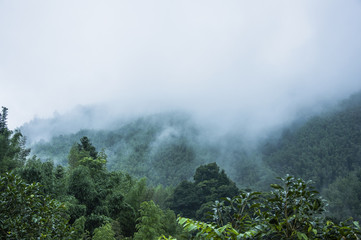 凌渡这款车配置如何-值不值得买-
